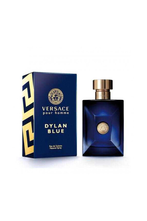 Versace Dylan Blue 100 Ml Edt Erkek Parfümü 